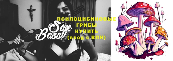дживик Абаза