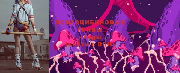 дживик Абаза