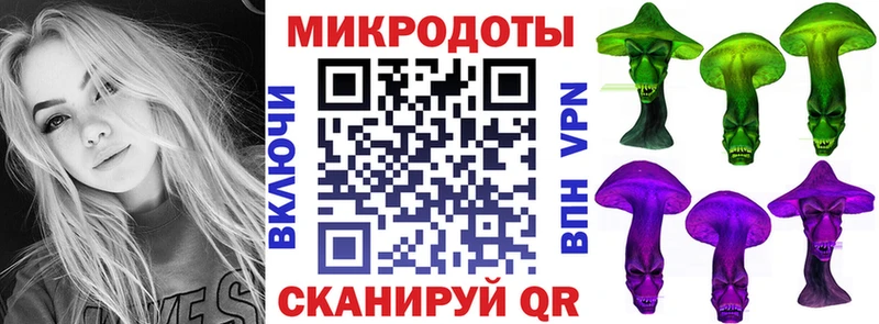 Псилоцибиновые грибы Psilocybine cubensis  Тотьма 